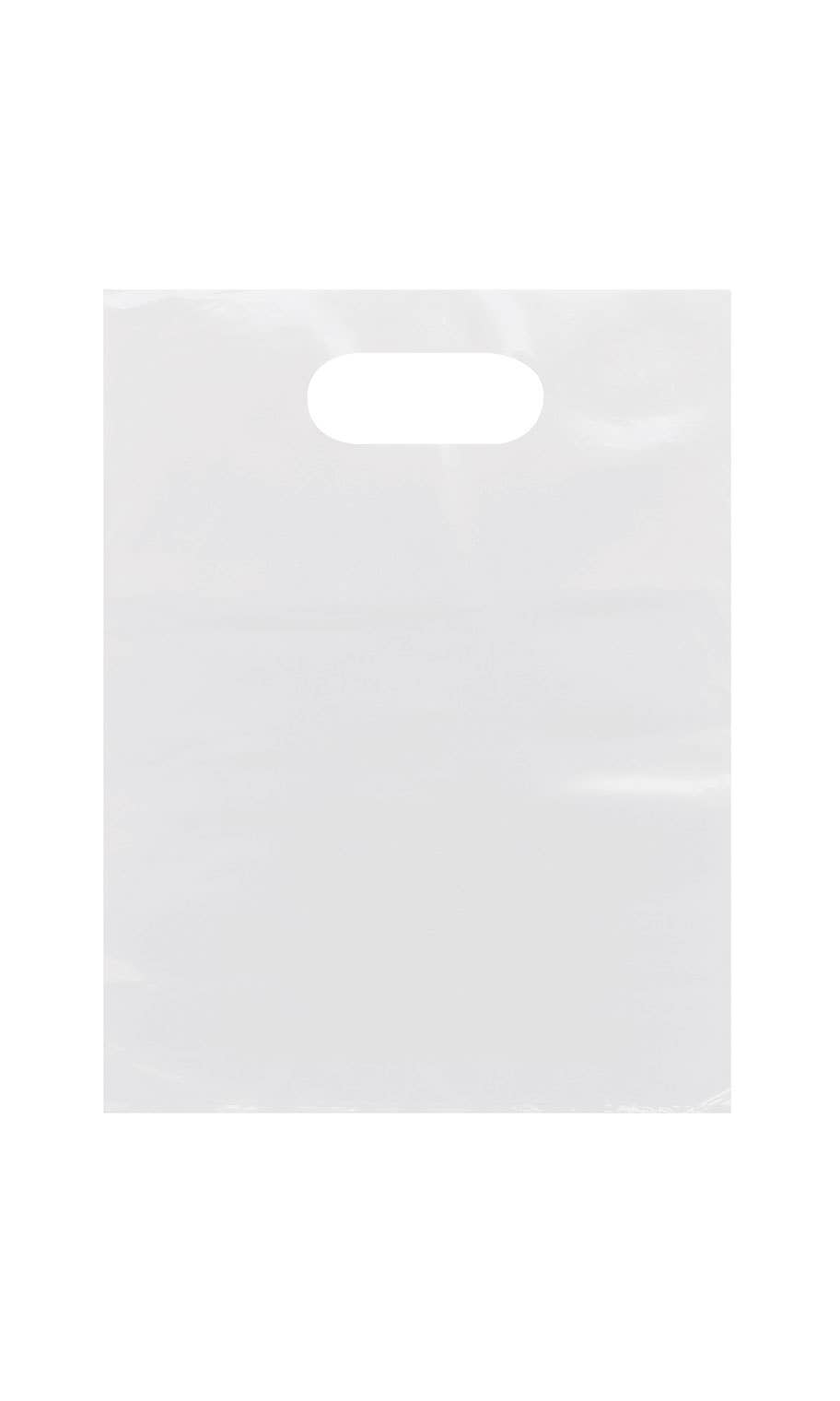 Frosted Retail Merchandise Bags