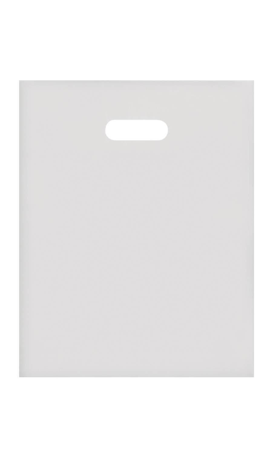 Frosted Retail Merchandise Bags