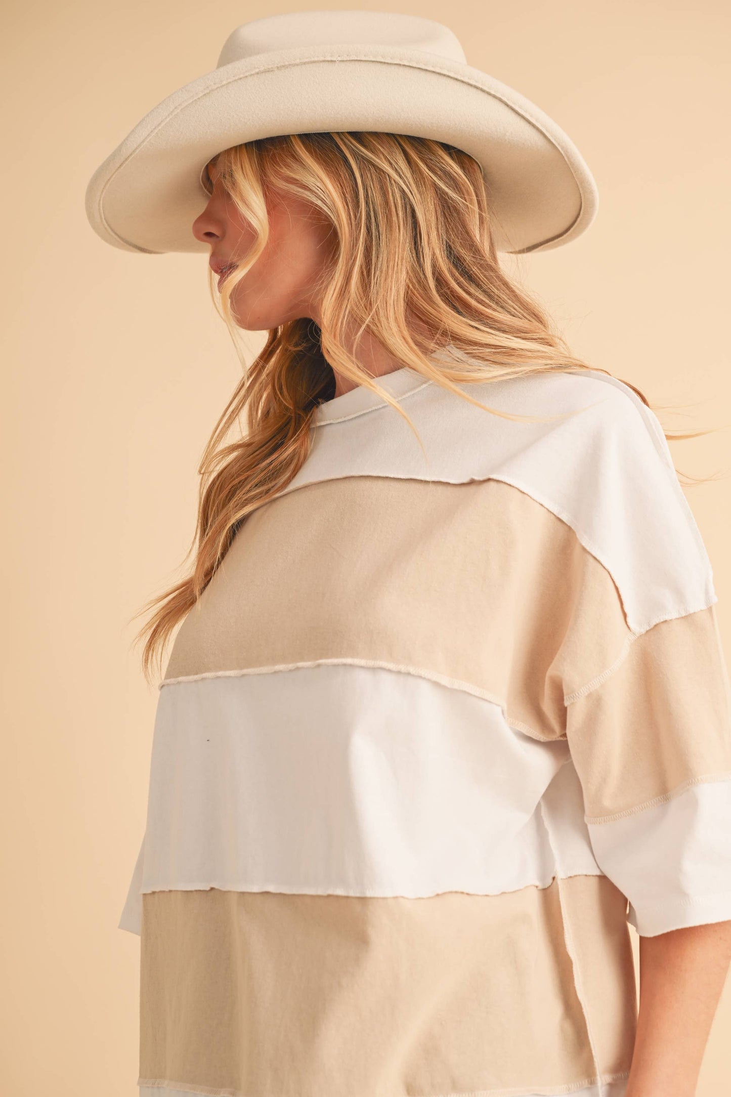 8417FN Polly Color Block Top