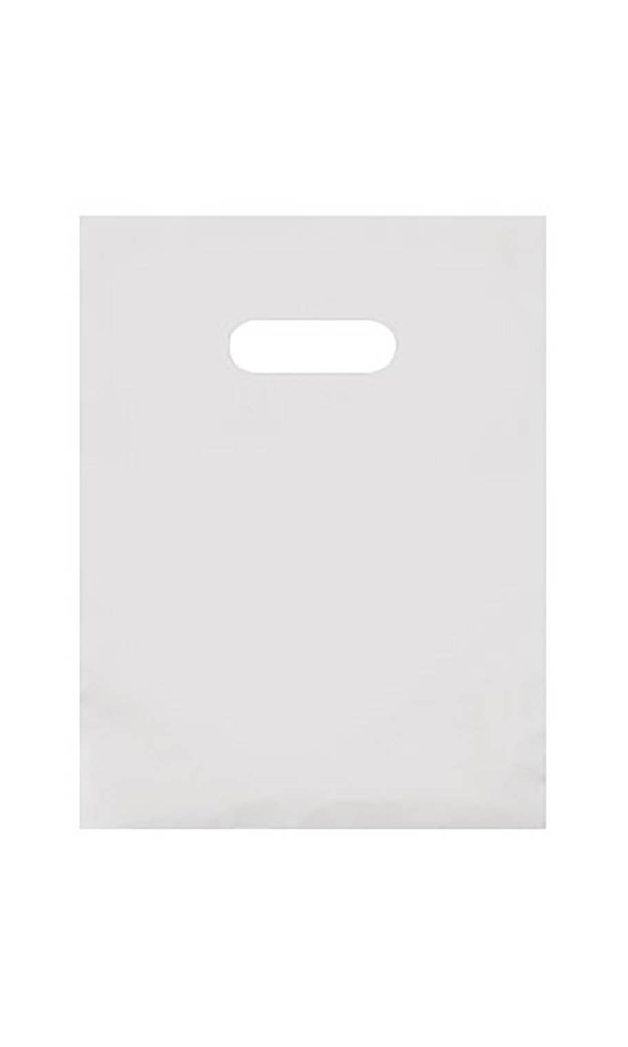 Frosted Retail Merchandise Bags