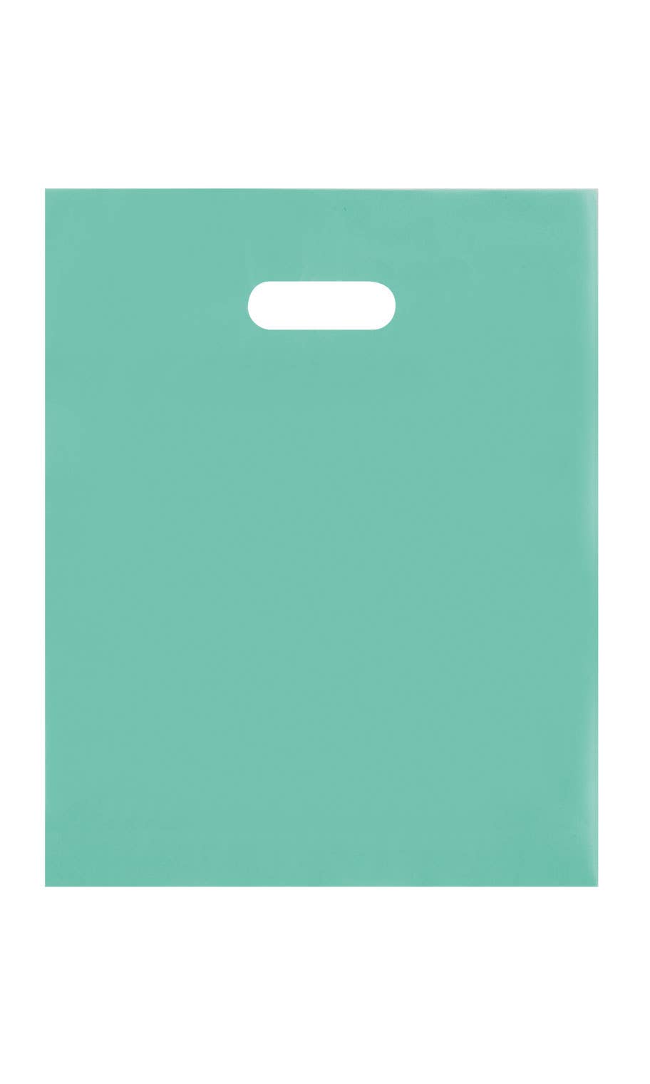 Frosted Retail Merchandise Bags