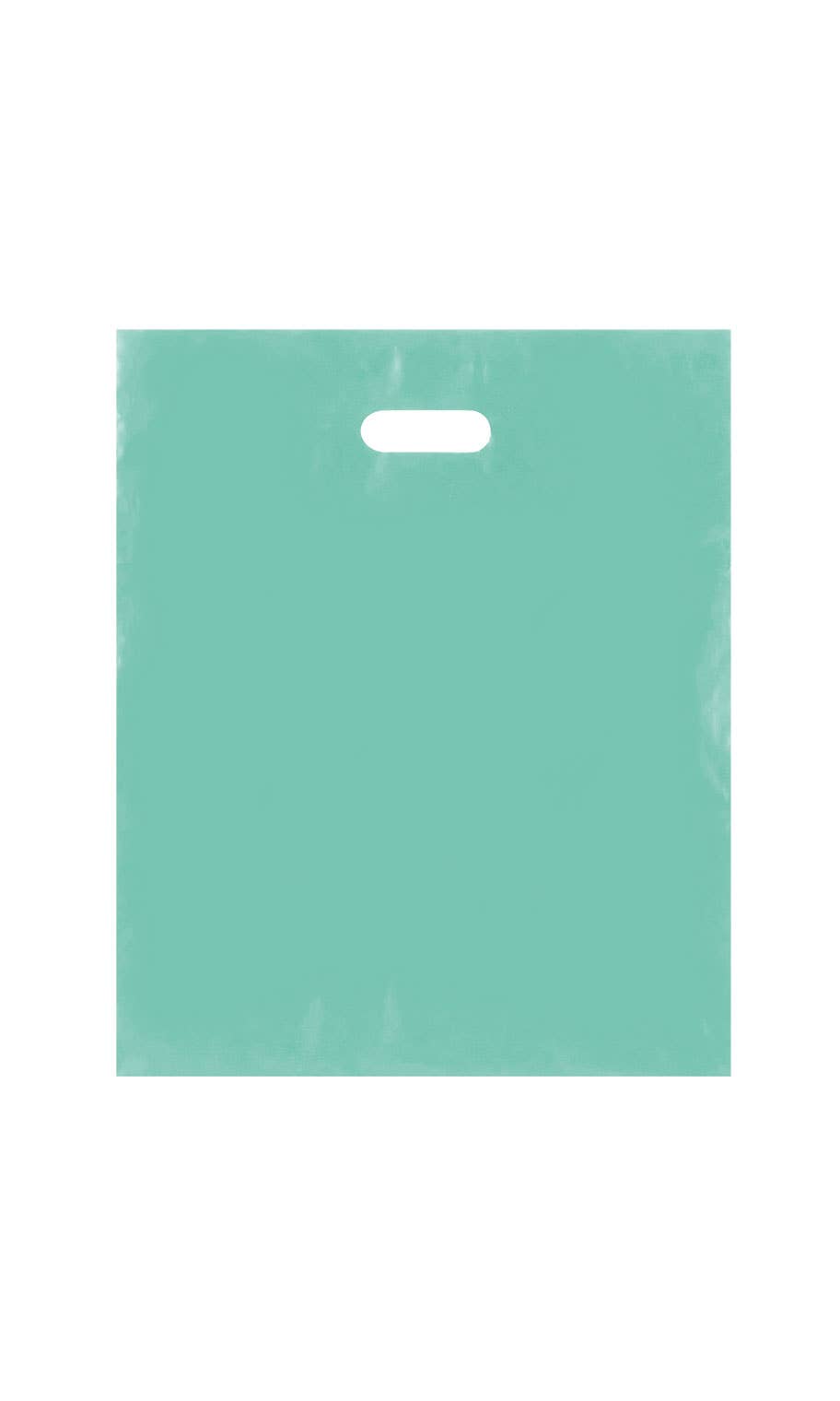 Frosted Retail Merchandise Bags