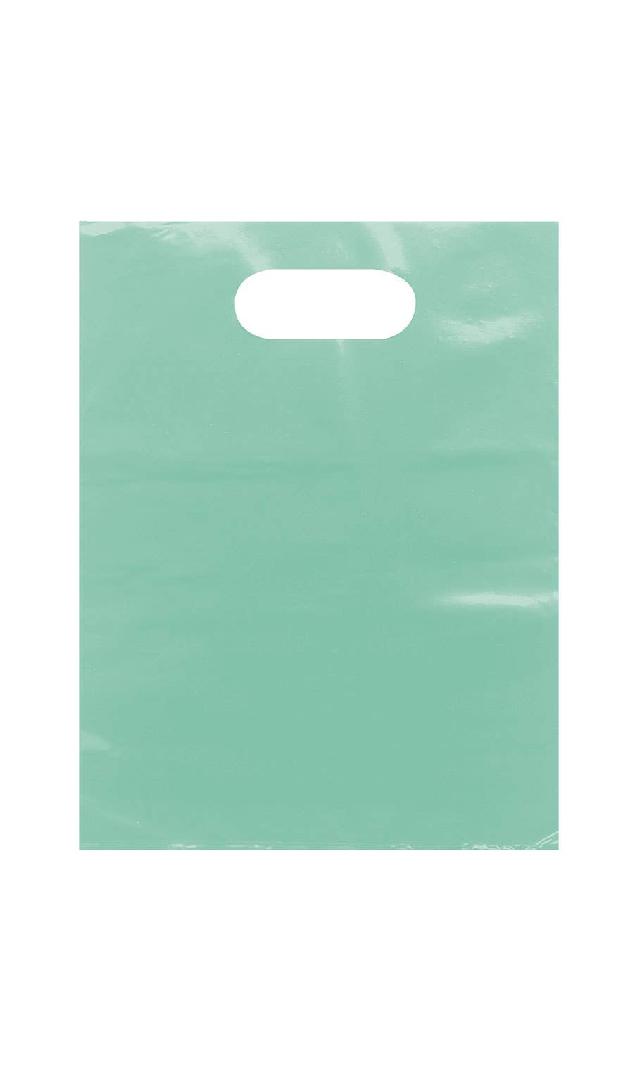 Frosted Retail Merchandise Bags